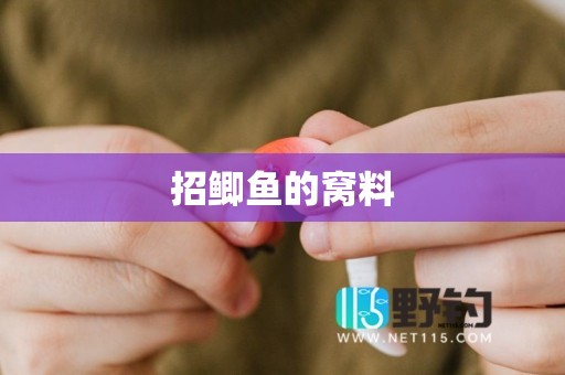 招鲫鱼的窝料