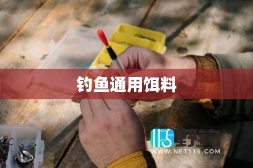 钓鱼通用饵料