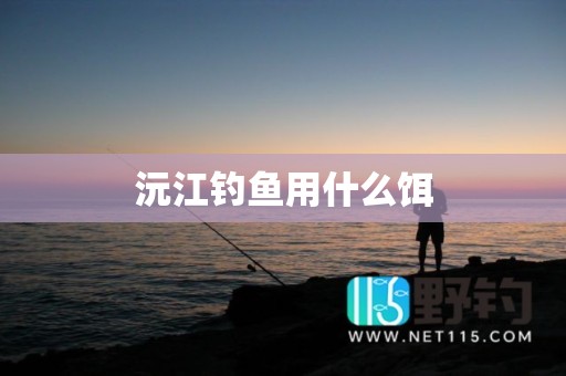 沅江钓鱼用什么饵