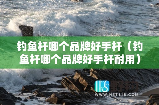 钓鱼杆哪个品牌好手杆（钓鱼杆哪个品牌好手杆耐用）