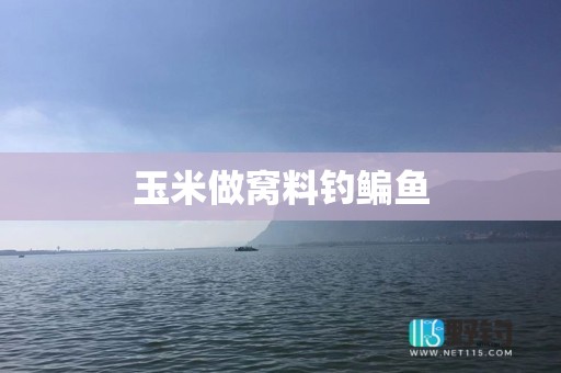 玉米做窝料钓鳊鱼