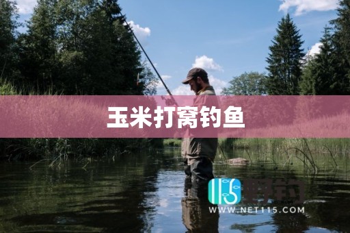 玉米打窝钓鱼