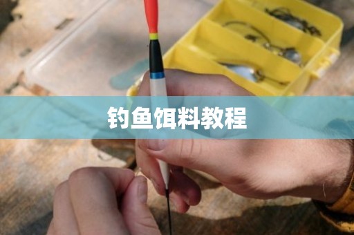 钓鱼饵料教程