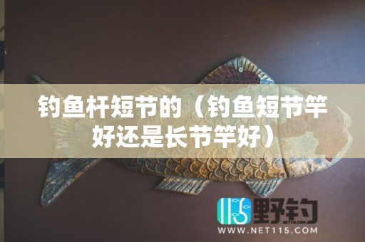 钓鱼杆短节的（钓鱼短节竿好还是长节竿好）