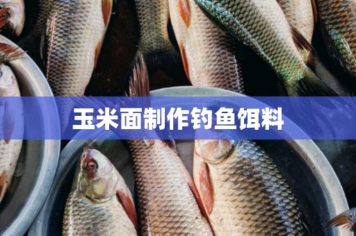 玉米面制作钓鱼饵料