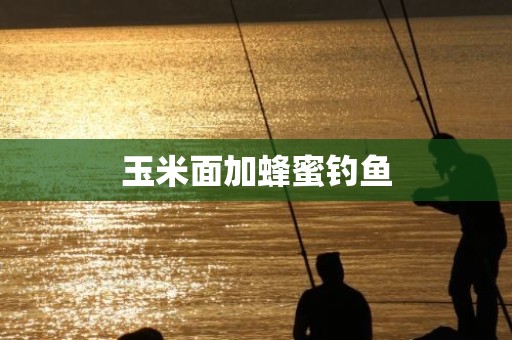 玉米面加蜂蜜钓鱼