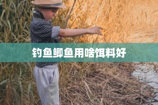钓鱼鲫鱼用啥饵料好
