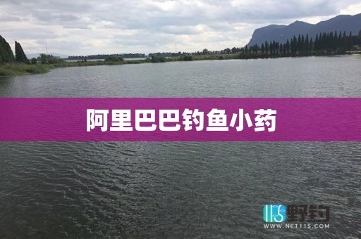阿里巴巴钓鱼小药