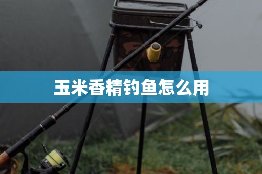 玉米香精钓鱼怎么用