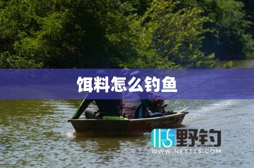 饵料怎么钓鱼