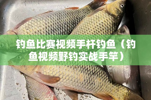 钓鱼比赛视频手杆钓鱼（钓鱼视频野钓实战手竿）
