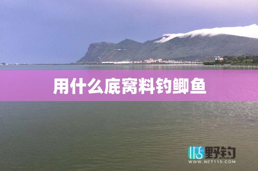 用什么底窝料钓鲫鱼