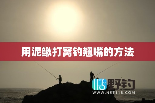用泥鳅打窝钓翘嘴的方法