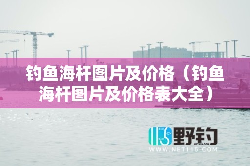 钓鱼海杆图片及价格（钓鱼海杆图片及价格表大全）