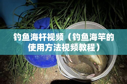 钓鱼海杆视频（钓鱼海竿的使用方法视频教程）