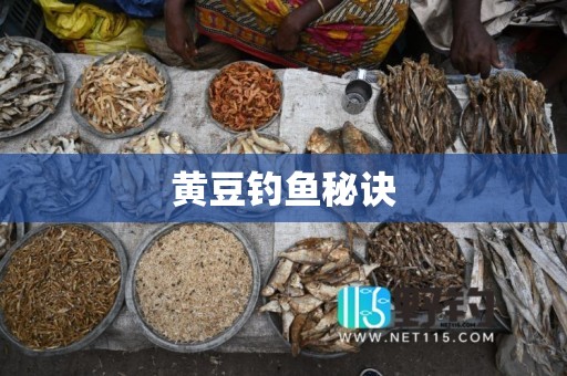 黄豆钓鱼秘诀