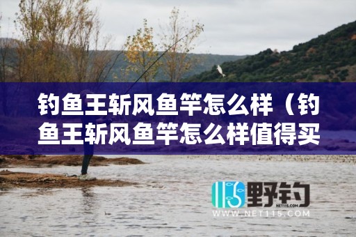 钓鱼王斩风鱼竿怎么样（钓鱼王斩风鱼竿怎么样值得买吗）