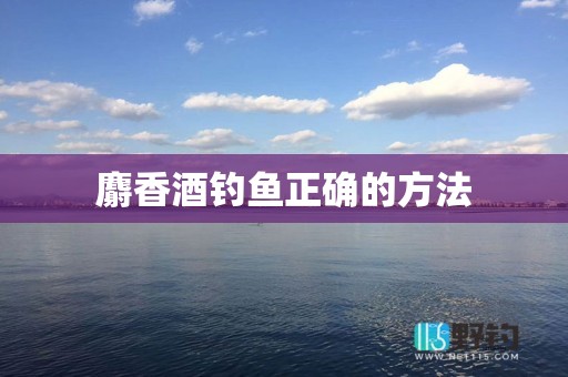 麝香酒钓鱼正确的方法