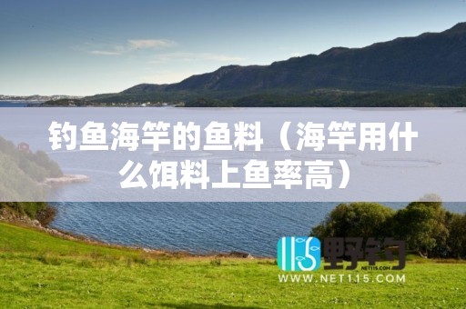 钓鱼海竿的鱼料（海竿用什么饵料上鱼率高）