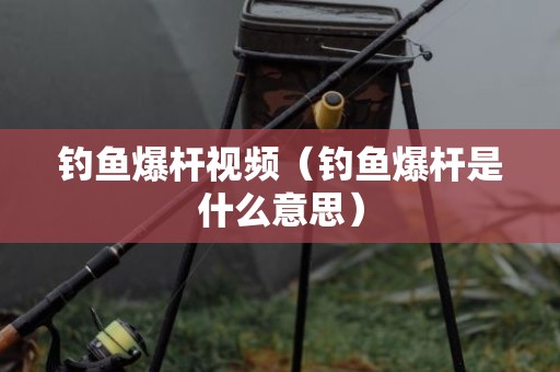 钓鱼爆杆视频（钓鱼爆杆是什么意思）