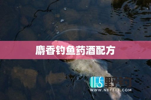 麝香钓鱼药酒配方