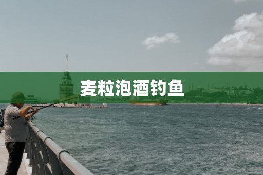 麦粒泡酒钓鱼