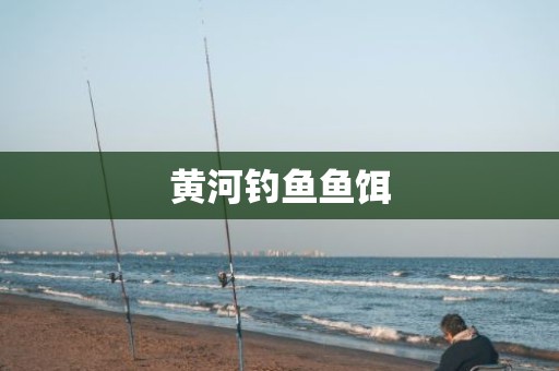 黄河钓鱼鱼饵