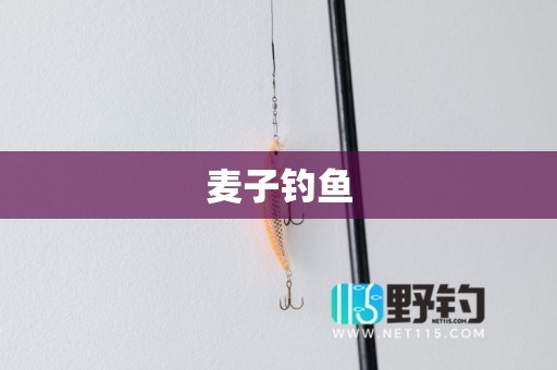 麦子钓鱼
