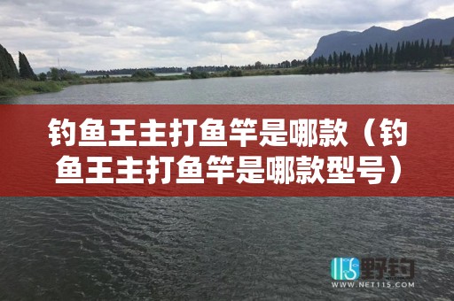 钓鱼王主打鱼竿是哪款（钓鱼王主打鱼竿是哪款型号）