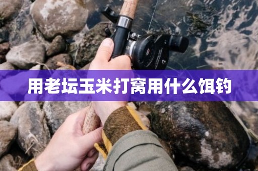 用老坛玉米打窝用什么饵钓