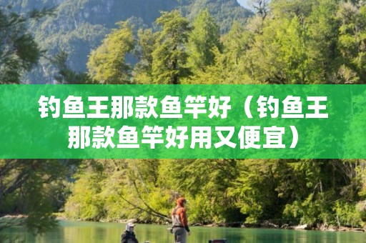 钓鱼王那款鱼竿好（钓鱼王那款鱼竿好用又便宜）