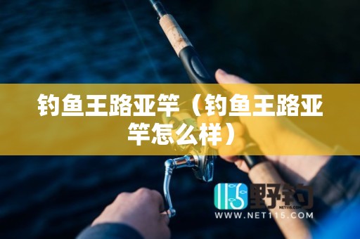 钓鱼王路亚竿（钓鱼王路亚竿怎么样）