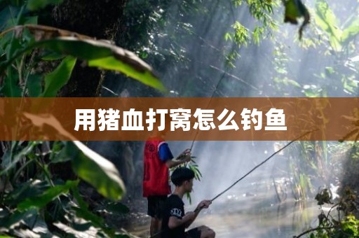 用猪血打窝怎么钓鱼