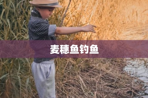 麦穗鱼钓鱼