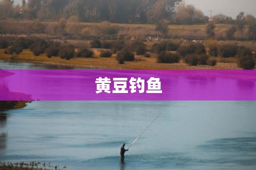 黄豆钓鱼