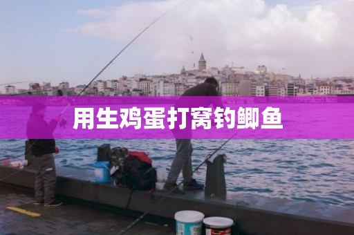 用生鸡蛋打窝钓鲫鱼