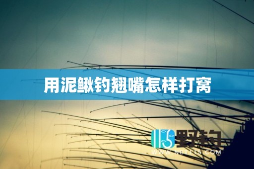 用泥鳅钓翘嘴怎样打窝