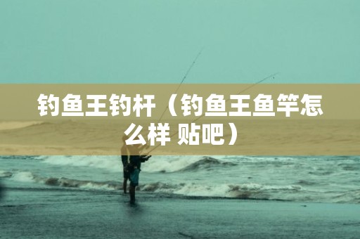 钓鱼王钓杆（钓鱼王鱼竿怎么样 贴吧）