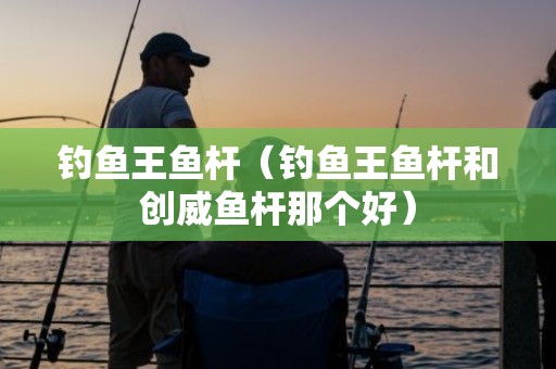 钓鱼王鱼杆（钓鱼王鱼杆和创威鱼杆那个好）