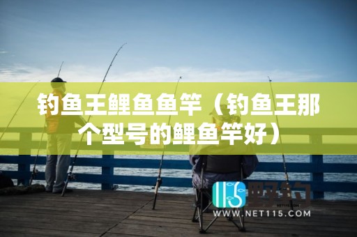 钓鱼王鲤鱼鱼竿（钓鱼王那个型号的鲤鱼竿好）