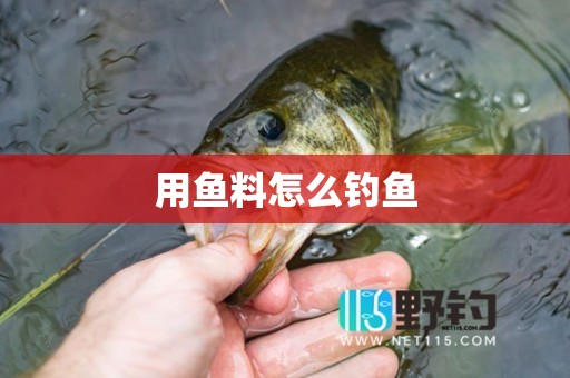用鱼料怎么钓鱼
