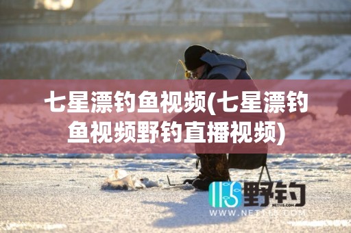 七星漂钓鱼视频(七星漂钓鱼视频野钓直播视频)