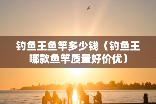 钓鱼王鱼竿多少钱（钓鱼王哪款鱼竿质量好价优）