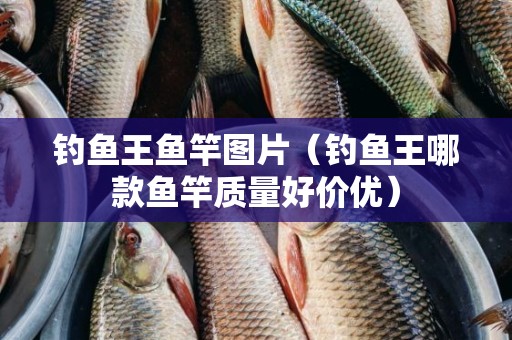 钓鱼王鱼竿图片（钓鱼王哪款鱼竿质量好价优）