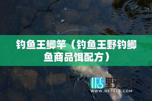 钓鱼王鲫竿（钓鱼王野钓鲫鱼商品饵配方）