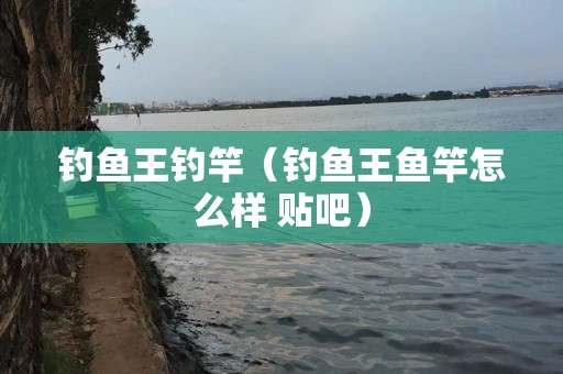 钓鱼王钓竿（钓鱼王鱼竿怎么样 贴吧）