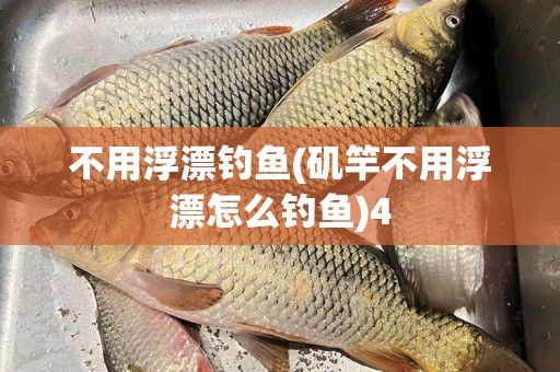 不用浮漂钓鱼(矶竿不用浮漂怎么钓鱼)4