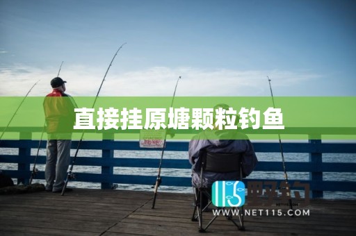 直接挂原塘颗粒钓鱼