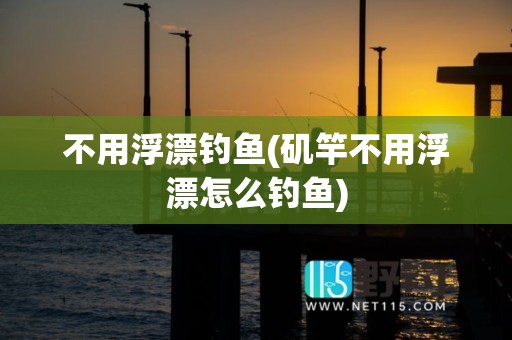 不用浮漂钓鱼(矶竿不用浮漂怎么钓鱼)