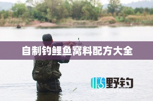 自制钓鲤鱼窝料配方大全